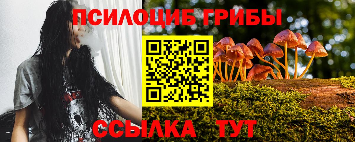 Псилоцибиновые грибы Cubensis Медногорск