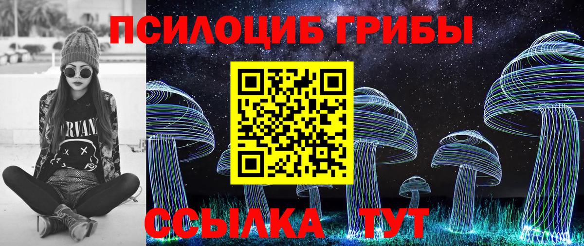 Псилоцибиновые грибы прущие грибы  Псилоцибиновые грибы мухоморы  Медногорск  Вход с VPN 
