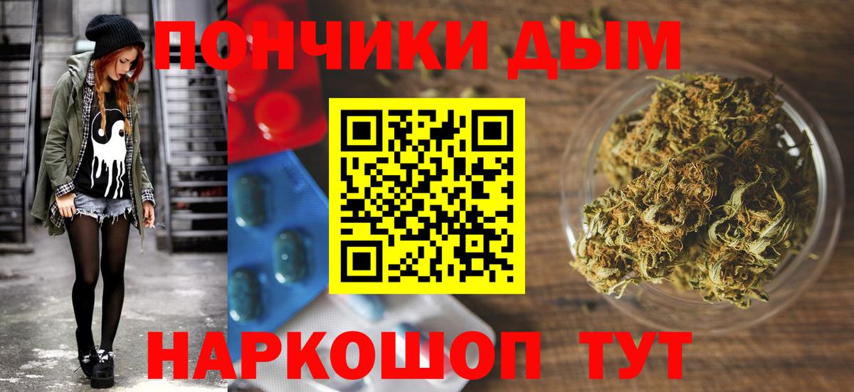 Шишки марихуана марихуана Медногорск